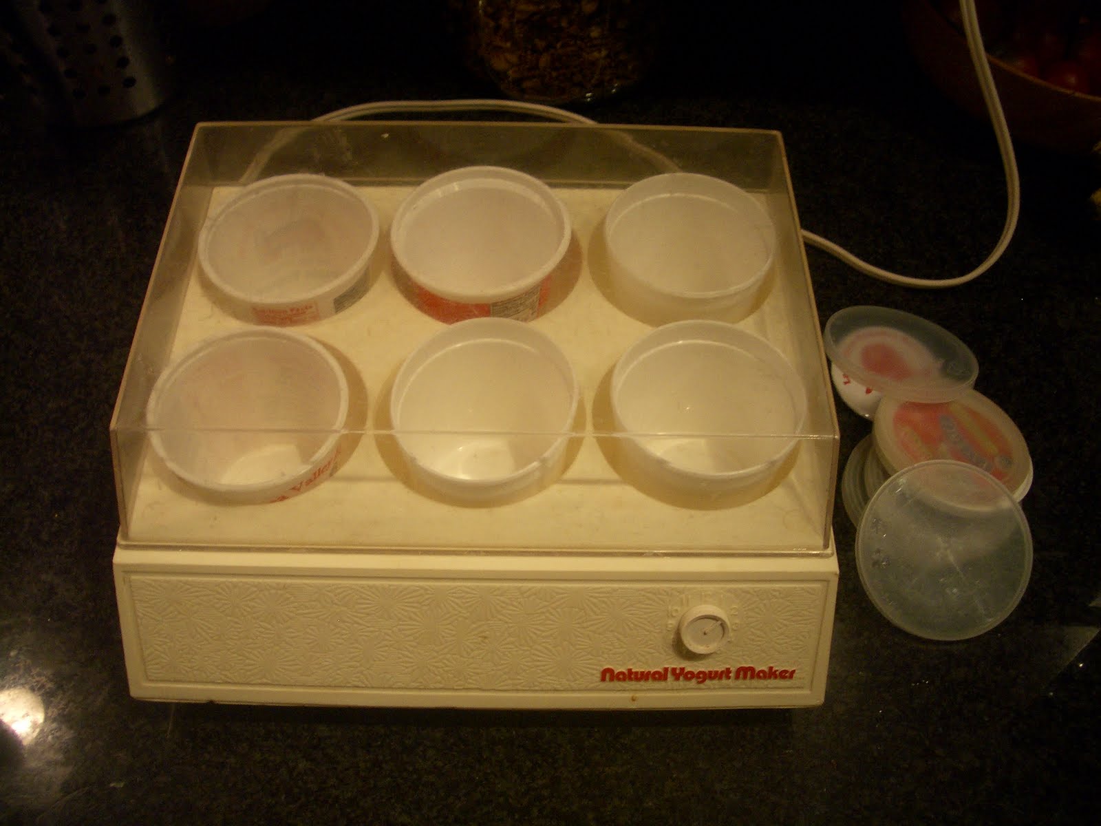 Thrift at Home Making Yogurt